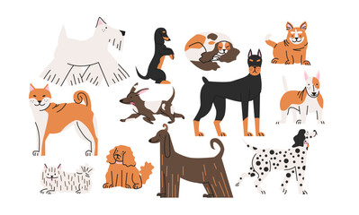Obraz premium Dog breeds set in retro cartoon style. Pets of different breeds: shiba inu, poodle, doberman, dachshund, dalmatian, setter. Illustration of domestic animals in funky, doodle style, trendy sticker set