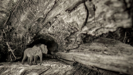 An elephant figurine in a hollow tree trunk