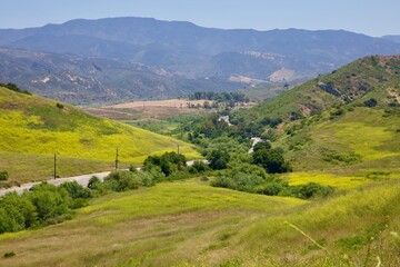 country road through the canyon wildflowers