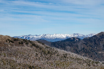 Nevados de Sollipulli desde Reserva Nacional China Muerta