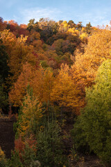 Colorful Autumn, China Muerta