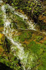 Natural stream water flows over green moss rocks. This image is suitable for nature, environment, or landscape themes.