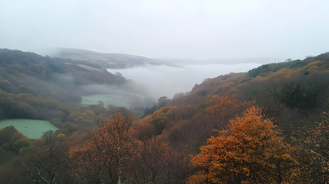 Misty Autumnal Vista: Rolling Hills Enshrouded in Fog with Vibrant Forest Canopy