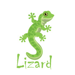 Lizard the  cartoon vektor for t Shirt 