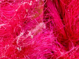 fuchsia background of a broom with inlaid spider webs