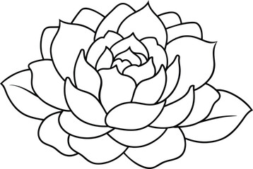 Elegant Line Art Flower Bloom Botanical Illustration