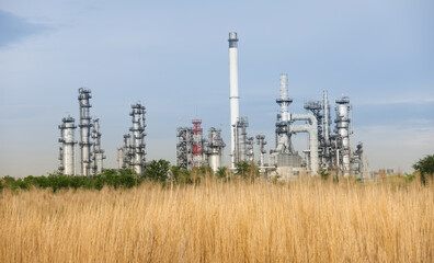 Selective focus natural brow grass field around factory Refinery and gas petrochemical plant in nature