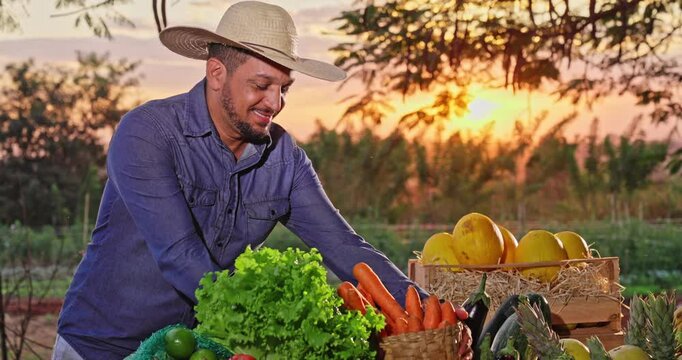 Proud farmer organizing the harvest of fruits and vegetables on a table to sell. Closeup on hands.