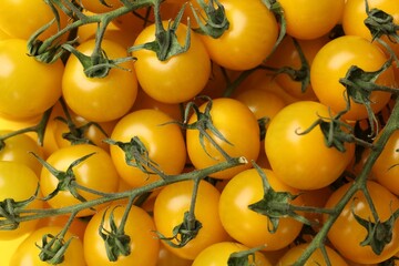 Many yellow cherry tomatoes as background, top view