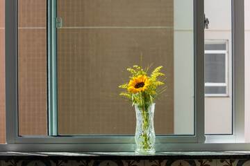 glass jar with a sunflower flower in the morning sunlight in apartment window overlooking another building
