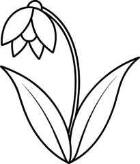 Snowdrop Flower Line Art Botanical Illustration