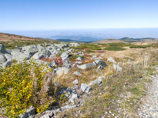 Autumn panorama of Vitosha Mountain, Bulgaria