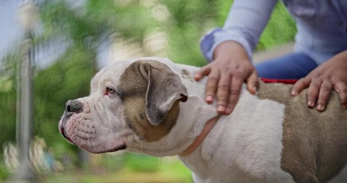 Cheerful latina woman sitting on square bench petting her dog.