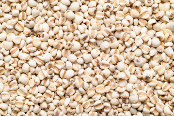 Dried Job's tears or adlay millet seeds texture background, Food ingredient