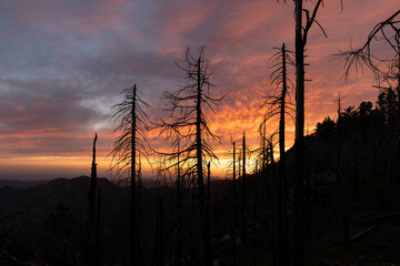 Spectacular Sunset View at Sequoia National Park