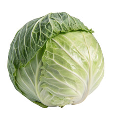 cabbage isolated on white background