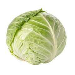 Fototapeta premium cabbage isolated on white background
