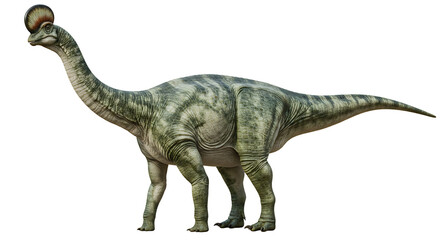 Amargasaurus Cazaui with Distinctive Spines and Mottled Green Skin Texture
