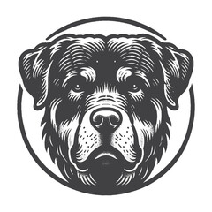 Vintage Hand-Drawn Rottweiler Head with Angry Face Illustration &ndash; Fierce Dog Engraved Style Vector for T-Shirts, Posters, Stickers, and Bold Themes Apparel