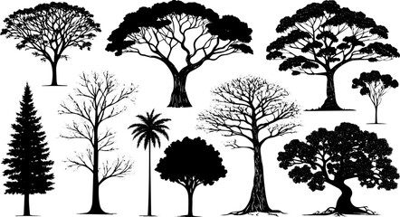 Obraz premium Stylized Tree Silhouettes Collection, Deciduous, Evergreen, Tropical, and Artistic Trees for Nature and Landscape Design