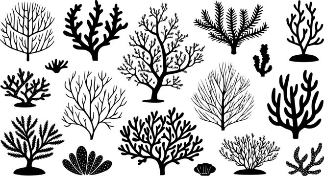 Silhouette Vector Collection of Coral and Marine Plants for Underwater Design