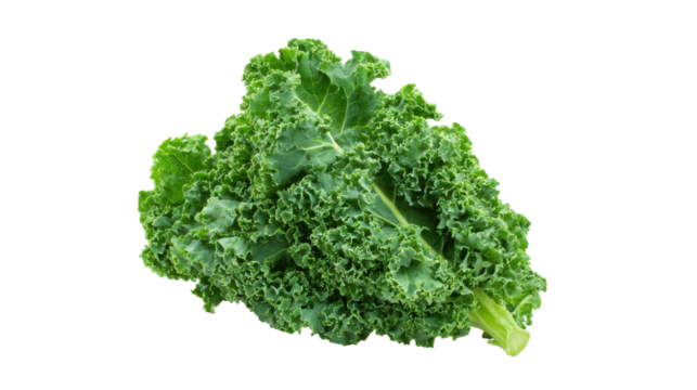 Fresh Green Curly Kale Leaf Isolated on Transparent Background