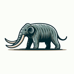 solenodon vector illustration