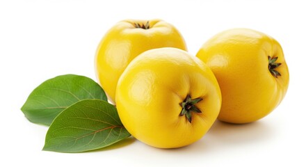 Three ripe quinces with leaves isolated on white background