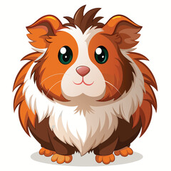 A fluffy guinea pig with brown and white fur stands facing forward with a slightly surprised expression with white background