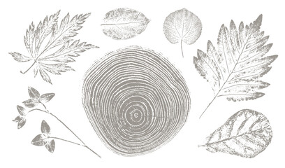 Trendy floral branch tree rings and grass for logo or decorations. Hand drawn line elegant leaves for invitation card. Botanical rustic trendy vector art.