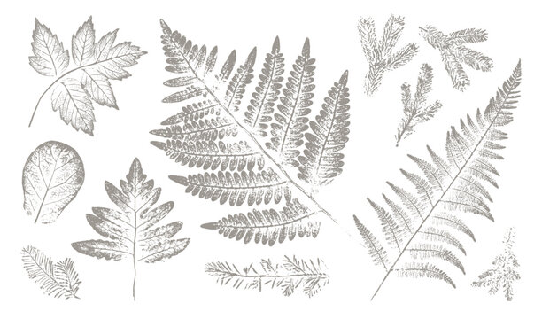 Trendy floral branch and grass for logo or decorations. Hand drawn line elegant leaves for invitation card. Botanical rustic trendy vector art.