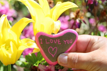 Yellow flower in background with I love you heart shaped rock