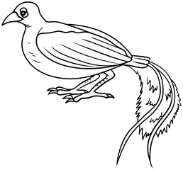 Blue Bird Of Paradise Vector Outline Line Art Drawing