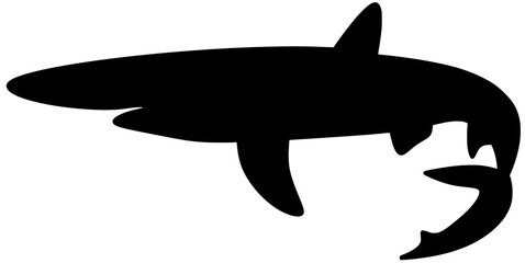 Obraz premium Blue Shark Silhouette Shadow Vector