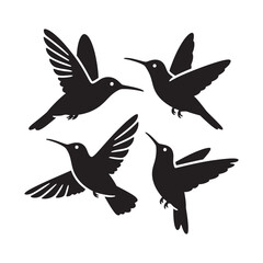 captures graceful hummingbirds mid-air, showcasing nature's elegance and synchronized beauty against a vibrant sky.