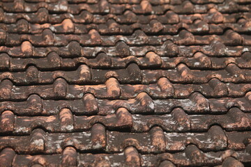 an old tiled roof that can protect from heat and rain as well as hunting animals from above