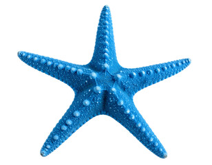 Blue starfish isolated on transparent background