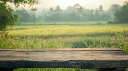 Rustic Wooden Table Overlooking a Serene Countryside Field at Sunrise