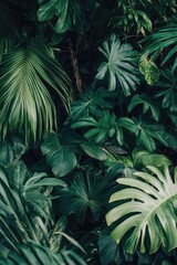 Obraz premium Lush green tropical foliage