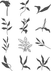 Fototapeta premium vector illustration of an abstract hand drawn flower, vector illustration of an abstract floral ornament, vector illustration of an abstract flower, 
