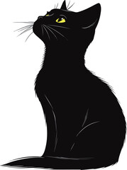 Looking up at the cat vector