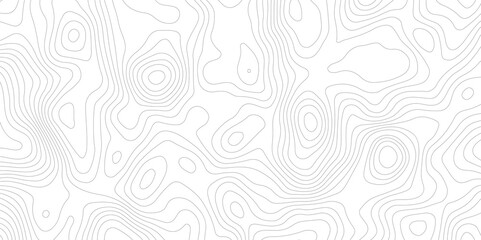white background with abstract topographic grey contour lines creating a seamless pattern design A Perfect Fusion of Geometric Grid Lines, and Minimalist Design Elements