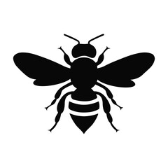 bee vector illustration
