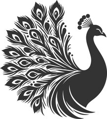 Vector element animal bird silhouette of a peacock