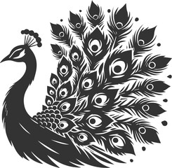 Vector element animal bird silhouette of a peacock