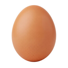 Brown chicken egg