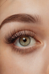 Fototapeta premium A close-up macro photograph of a light brown-green eye with dramatic false eyelashes. 