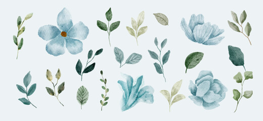 light blue floral and leaves watercolor collection