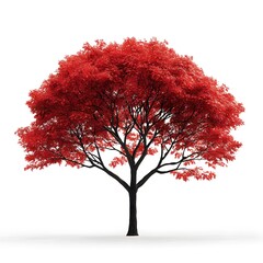 Vibrant Red Autumn Tree with Dense Foliage and Strong Black Trunk Isolated on White Background for Fall Season Nature Scene and Landscape Illustration