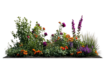 Colorful garden arrangement featuring various flowers and plants with purple, orange, and red blooms against soil base, ideal for landscape design visualization